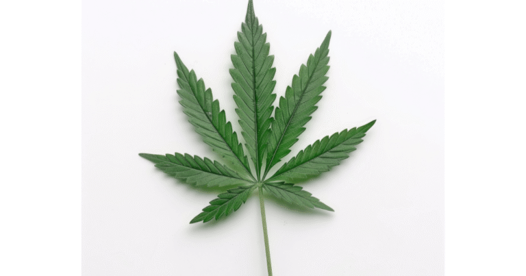best strain of weed for social anxiety​