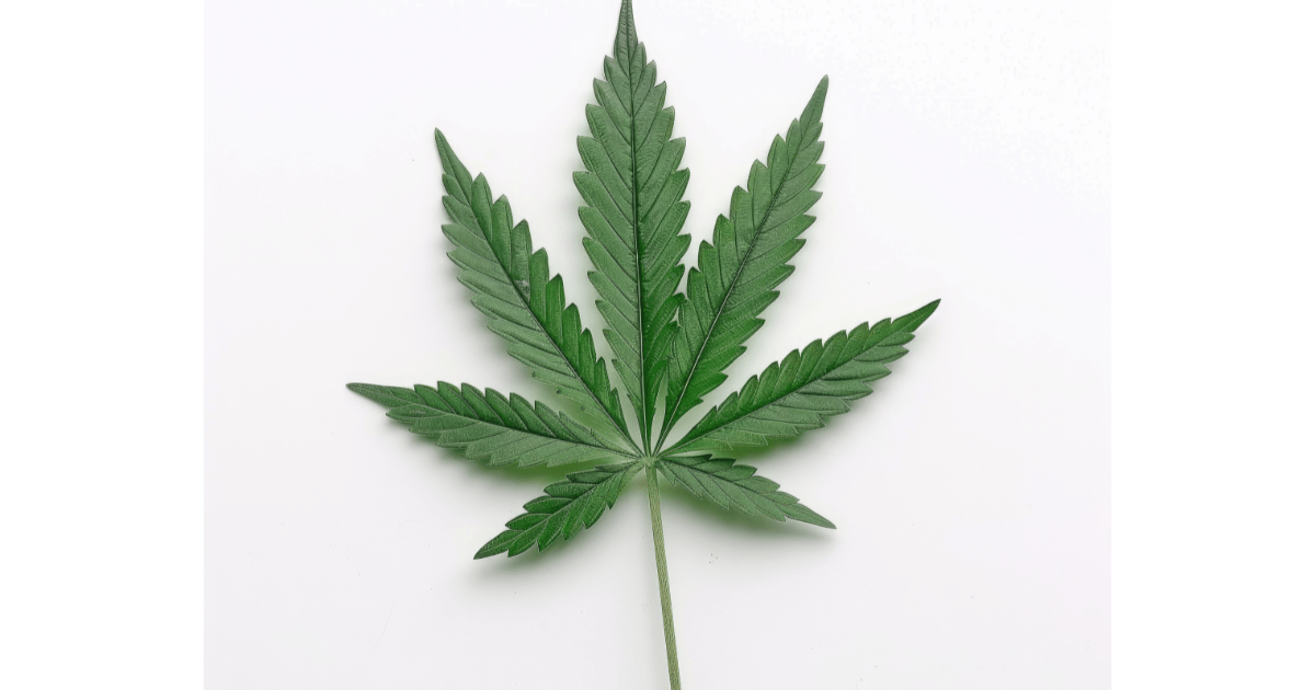 best strain of weed for social anxiety​